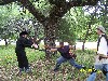 rise (049).jpg